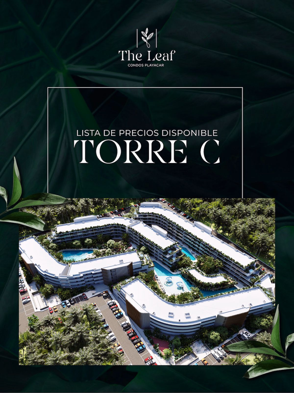 The Leaf Graficos para mail Precios torre C