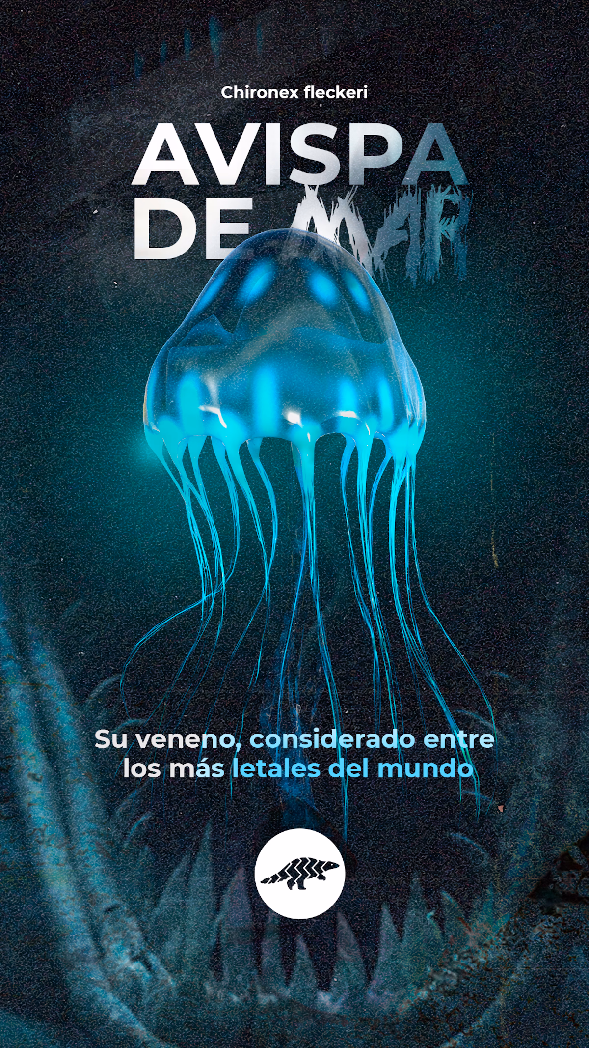 Redes sociales
