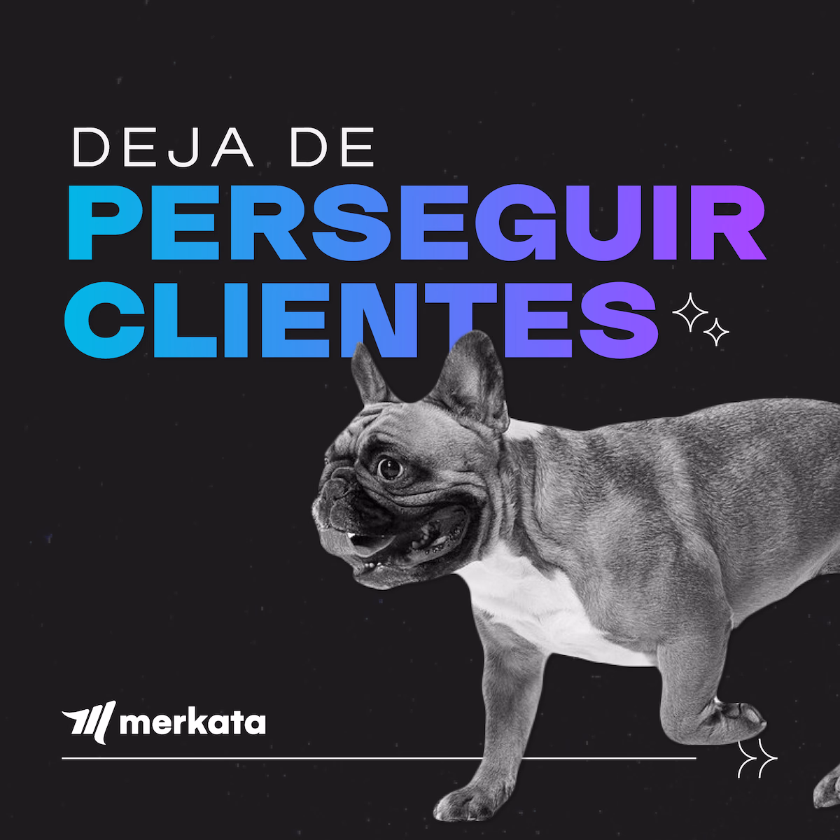 Merkata Definición de Línea de Diseño Carrusel
