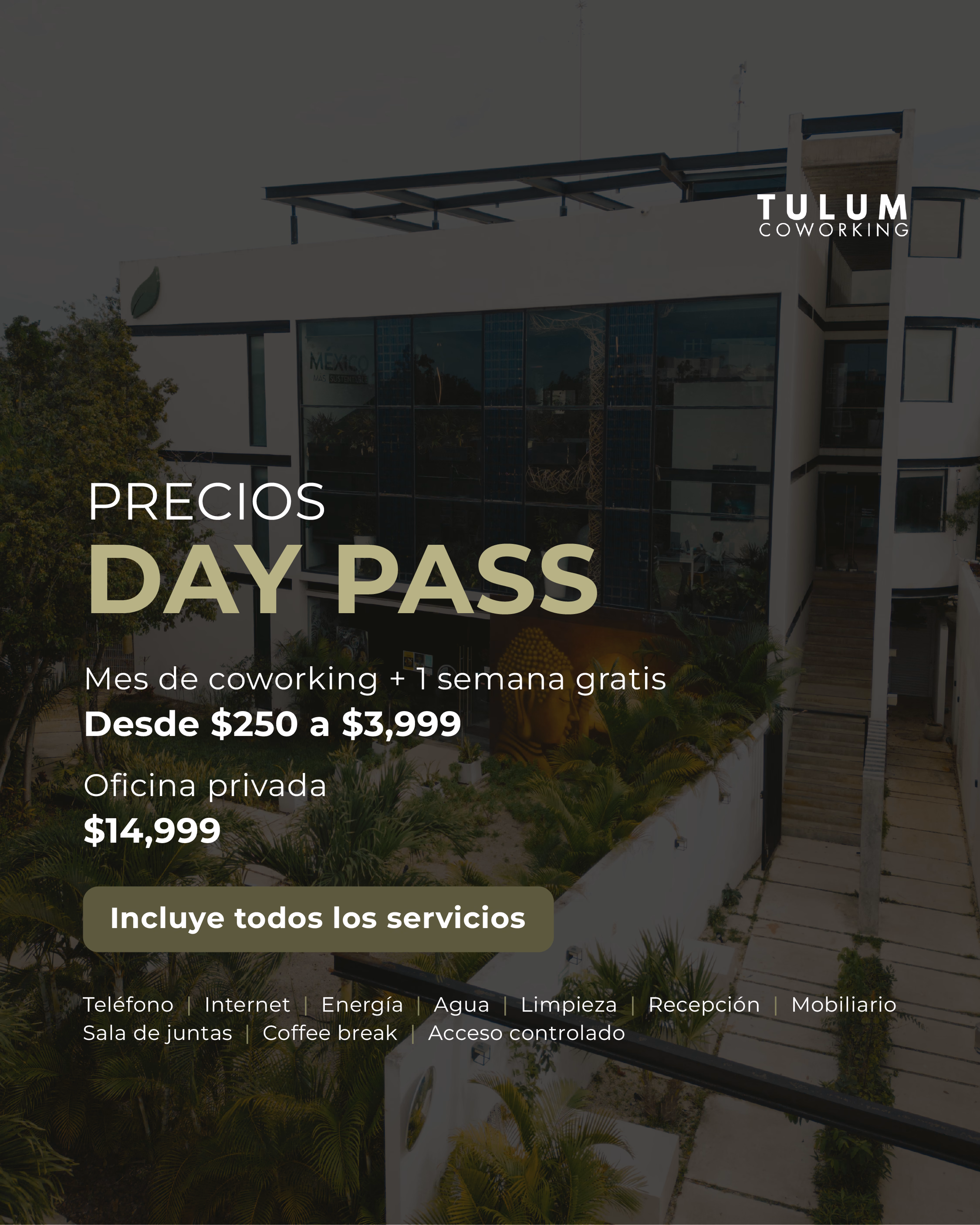 Temáticas · Inmobiliario